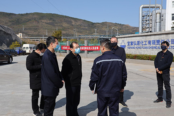 森林舞会电玩城正版免费下载